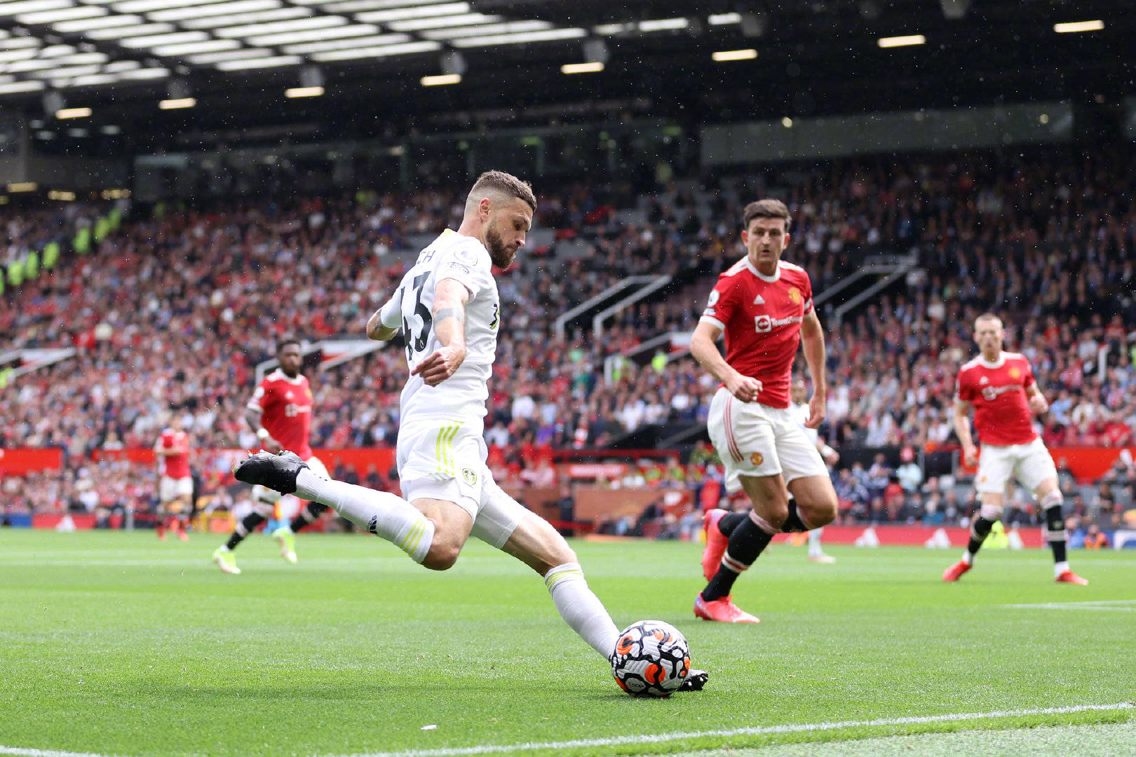 新的活力 新的活力